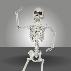 Collection image for: Decor & Props_Skeletons & Skulls
