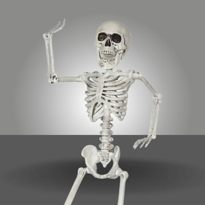 Decor & Props_Skeletons & Skulls