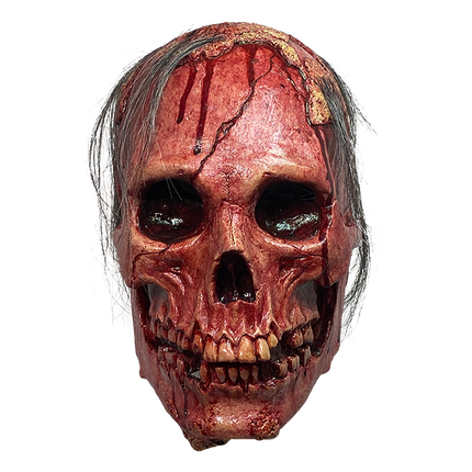 Front view of Necrodome Skull