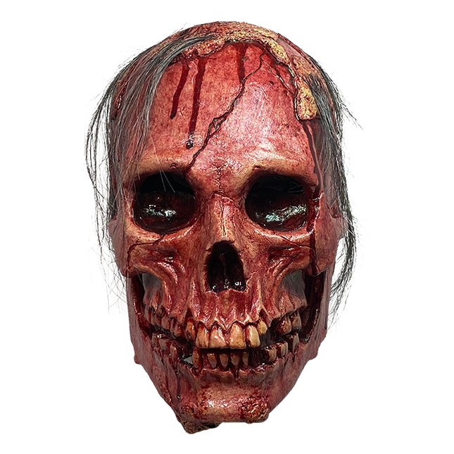 Front view of Necrodome Skull