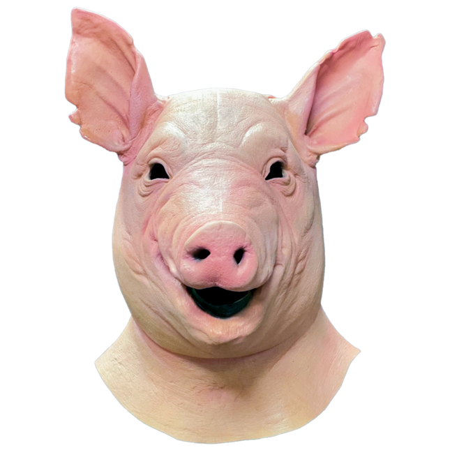 Front view of Spiral Pig Mask