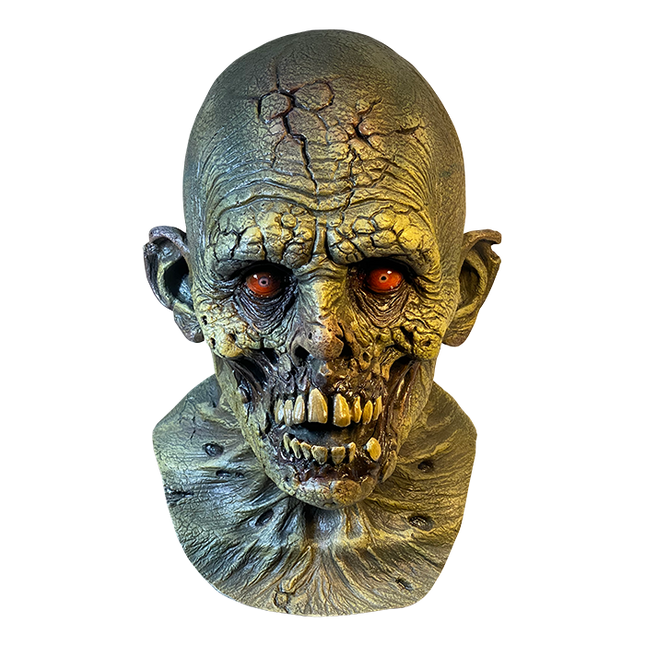 Front view of Dry Rot Mask