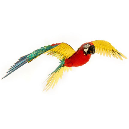 Premium Series Parrot Model Kit- bottom view
