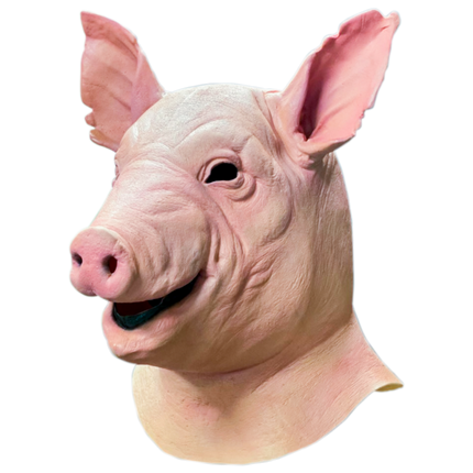 Left-side view of Spiral Pig Mask