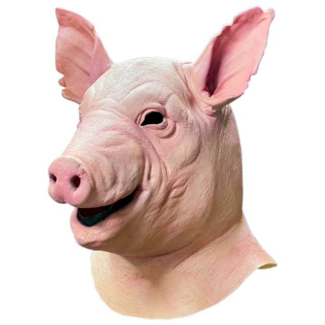 Left-side view of Spiral Pig Mask