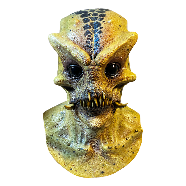 Front view of Hybrid Mask