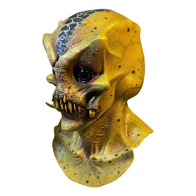 Left-side view of Hybrid Mask