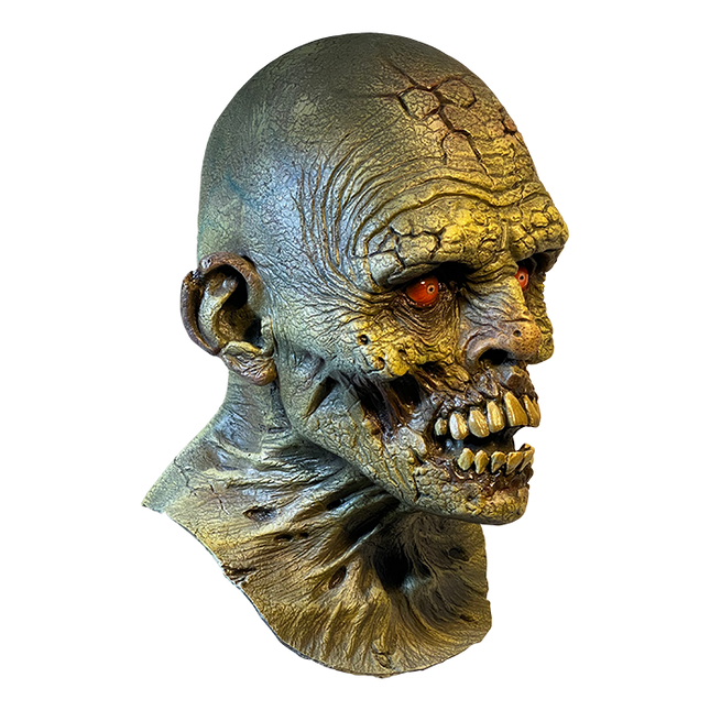 Right-side view of Dry Rot Mask