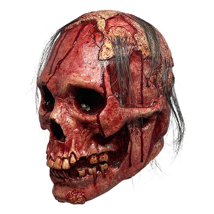 Left-side view of Necrodome Skull