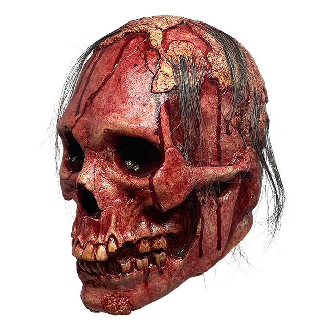 Left-side view of Necrodome Skull