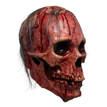 Right-side view of Necrodome Skull