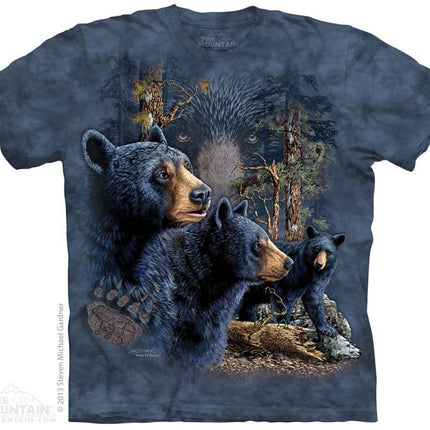 Find 13 Black Bears Tee
