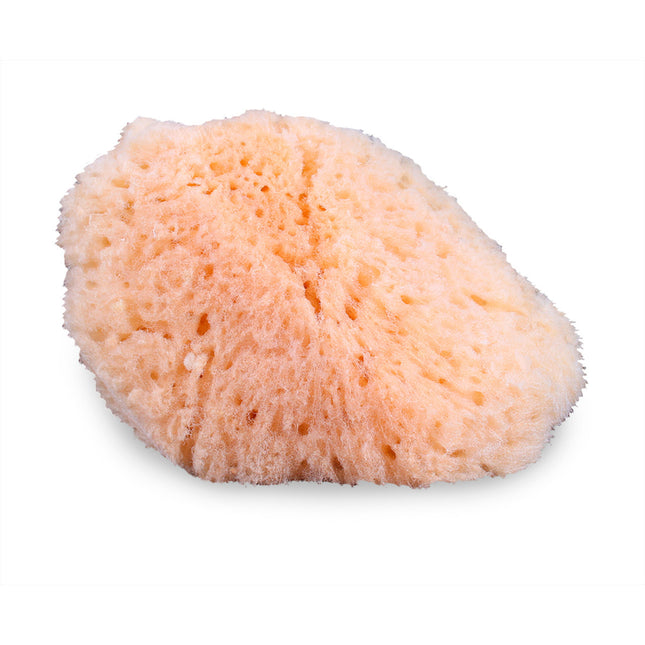 Natural Sea Sponge Applicator