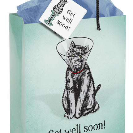 Get Well Soon Gift Bag