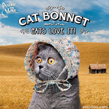 Gray cat wearing bonnet