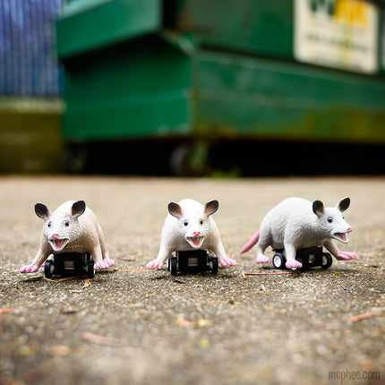 Racing Possum