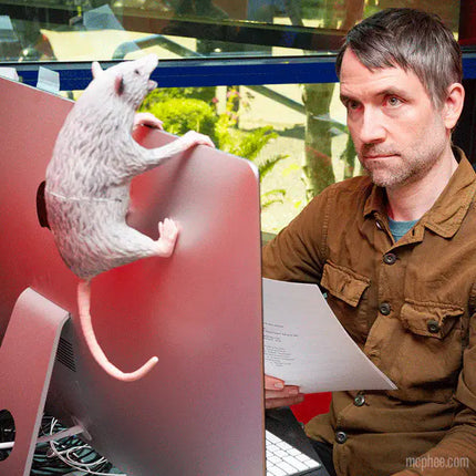 Office Possum- on computer monitor