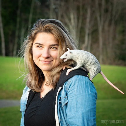 Office Possum- on girl's shoulder