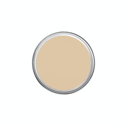 CE-3 Cine Light Beige