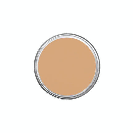 IS-18 Olive Tan