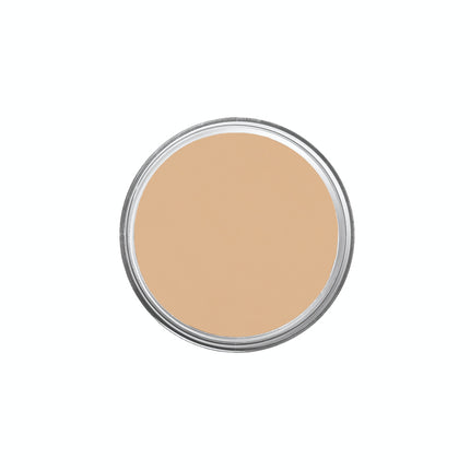IS-8 Bare Beige