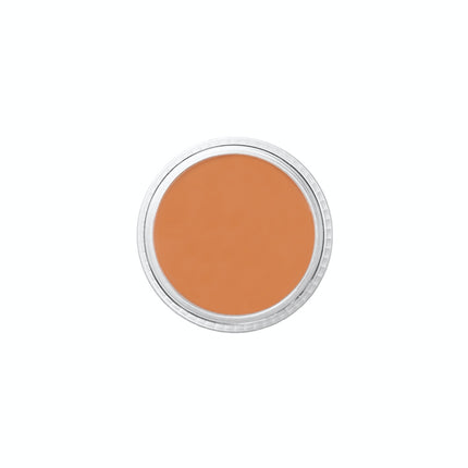 Adobe Brown