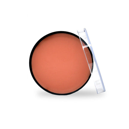 Professional Modeling Putty/Wax
