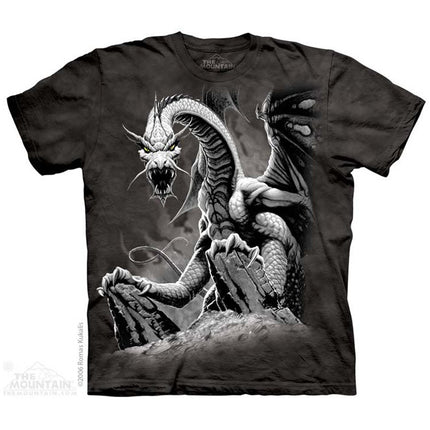 Black Dragon Child Tee