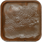 Chestnut