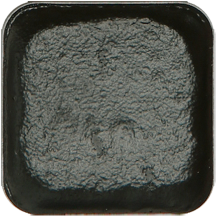 Black Coral