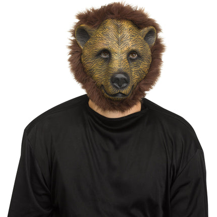 Bear