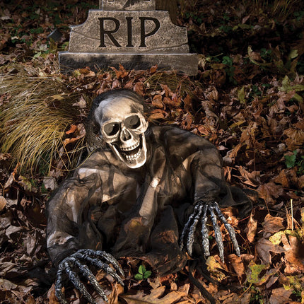 Black Skeleton