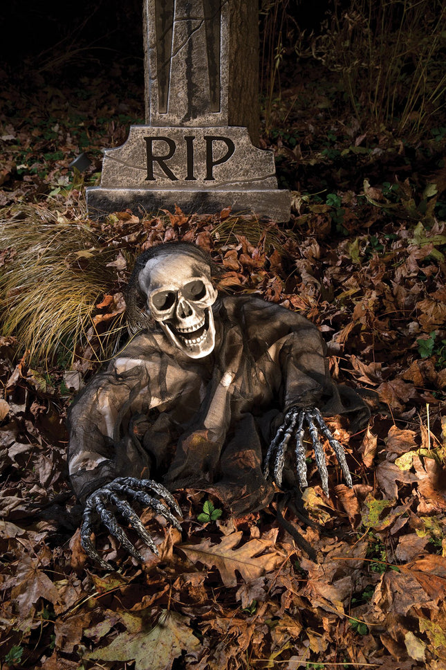 Black Skeleton