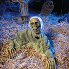 Green Moss Skeleton
