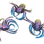 Spiders