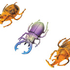 Beetles