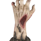 Flesh