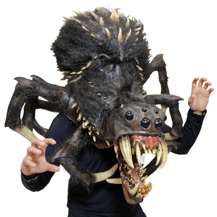 Mammoth Chomping Spider