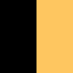 Black/Neon Orange