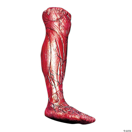 Skinned Right Leg Prop
