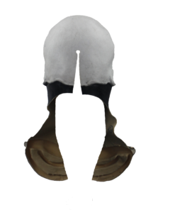 Long Neck Skull Mask (White)- back view