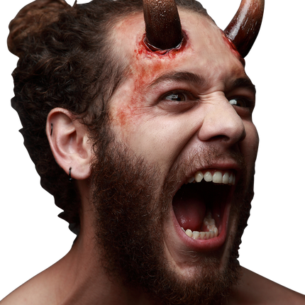 Appliance - Large Horns