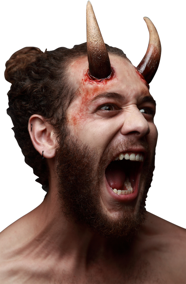 Appliance - Large Horns
