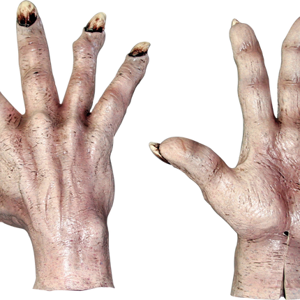 Evil Hands (Flesh)