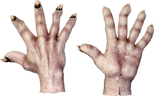 Evil Hands (Flesh)