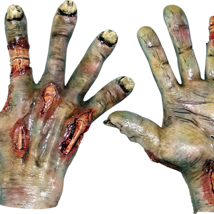Zombie Rotted Hands