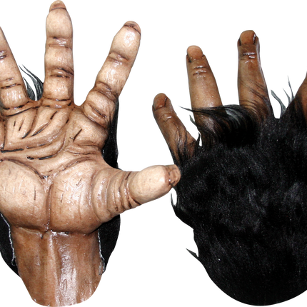 Chimp Brown Hands