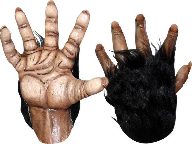 Chimp Brown Hands