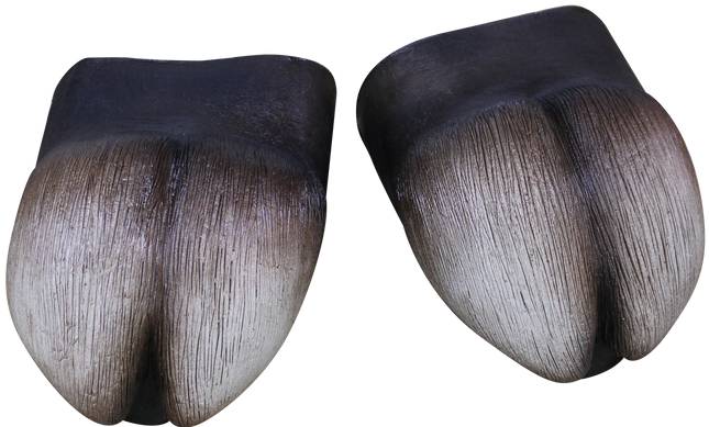 Black Hooves (Shoe Covers)