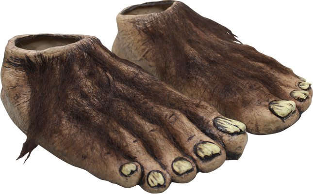 Big Feet